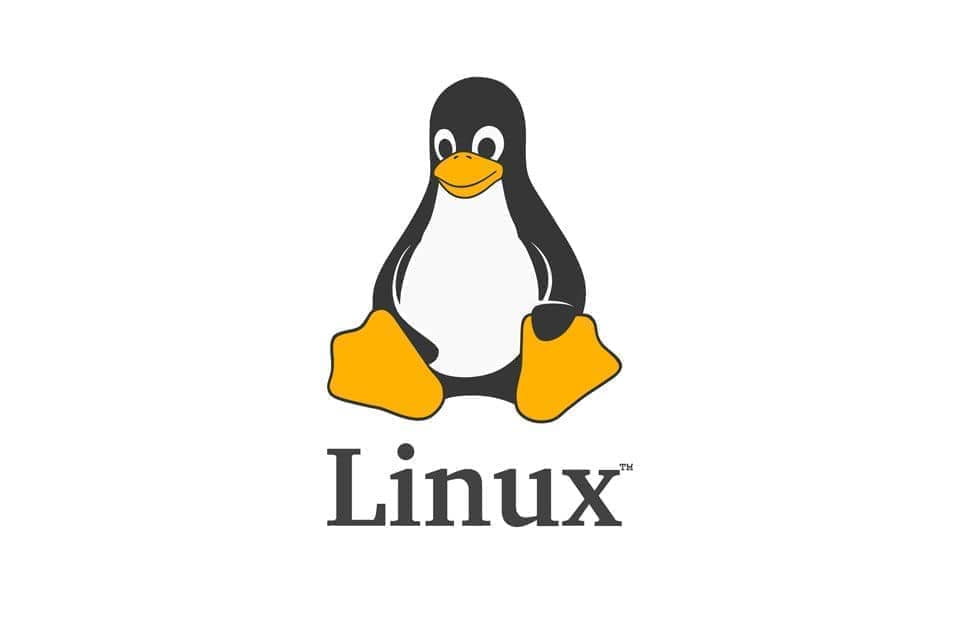 OPINION: Make the switch to a Linux operating system | Opinion …